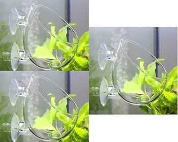 Amazon | 【SRrabbit】おしゃれなスカイガーデン 水槽ポット