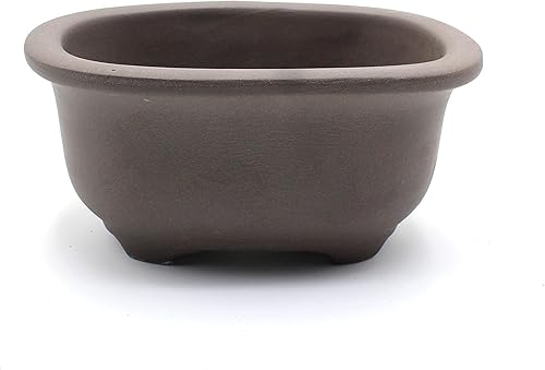 Olla para bonsái Seto-Yaki de cerámica ovalada con borde (5.7 pulgadas, sin esmaltar)