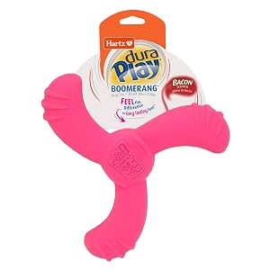 Hartz DuraPlay Bacon Scented Dog Toys Medium Large Colors may vary All Breed Sizes