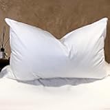 Goose Down Feather Pillows Queen Size - Hotel Collection Bed Pillows for Sleeping Soft Pillow for Side and Back Sleepers with 100% Cotton Fabric