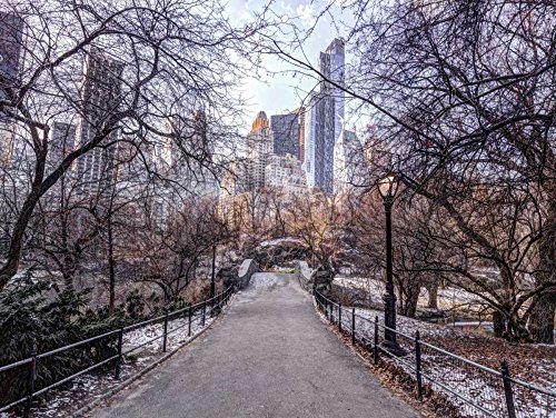 AFFICHE sur TOILE New York Central Park évasion nature tableau Assaf Frank 80x107 cm