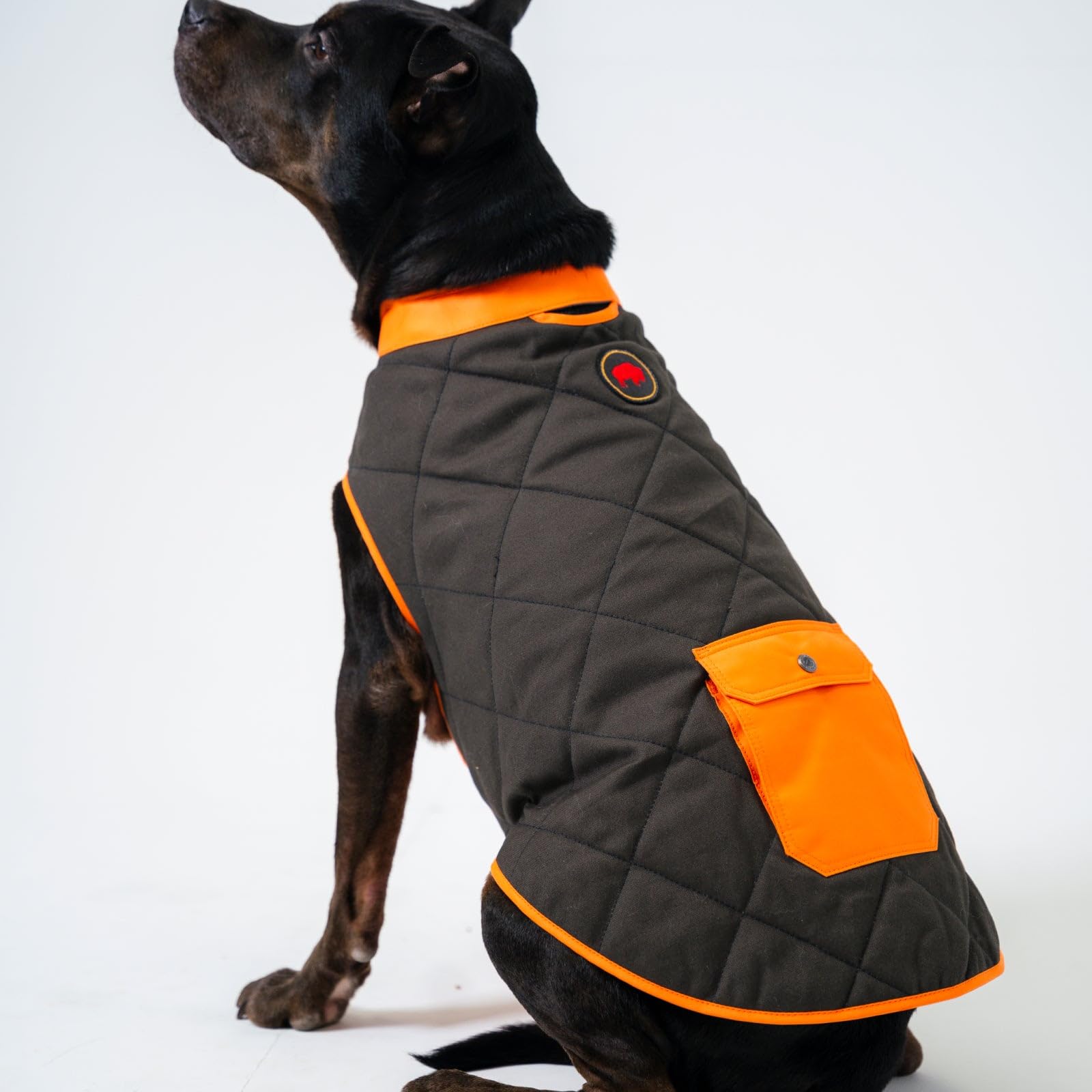 Mountain Khakis Dog's Highland Dog Vest, XL, Jackson Grey