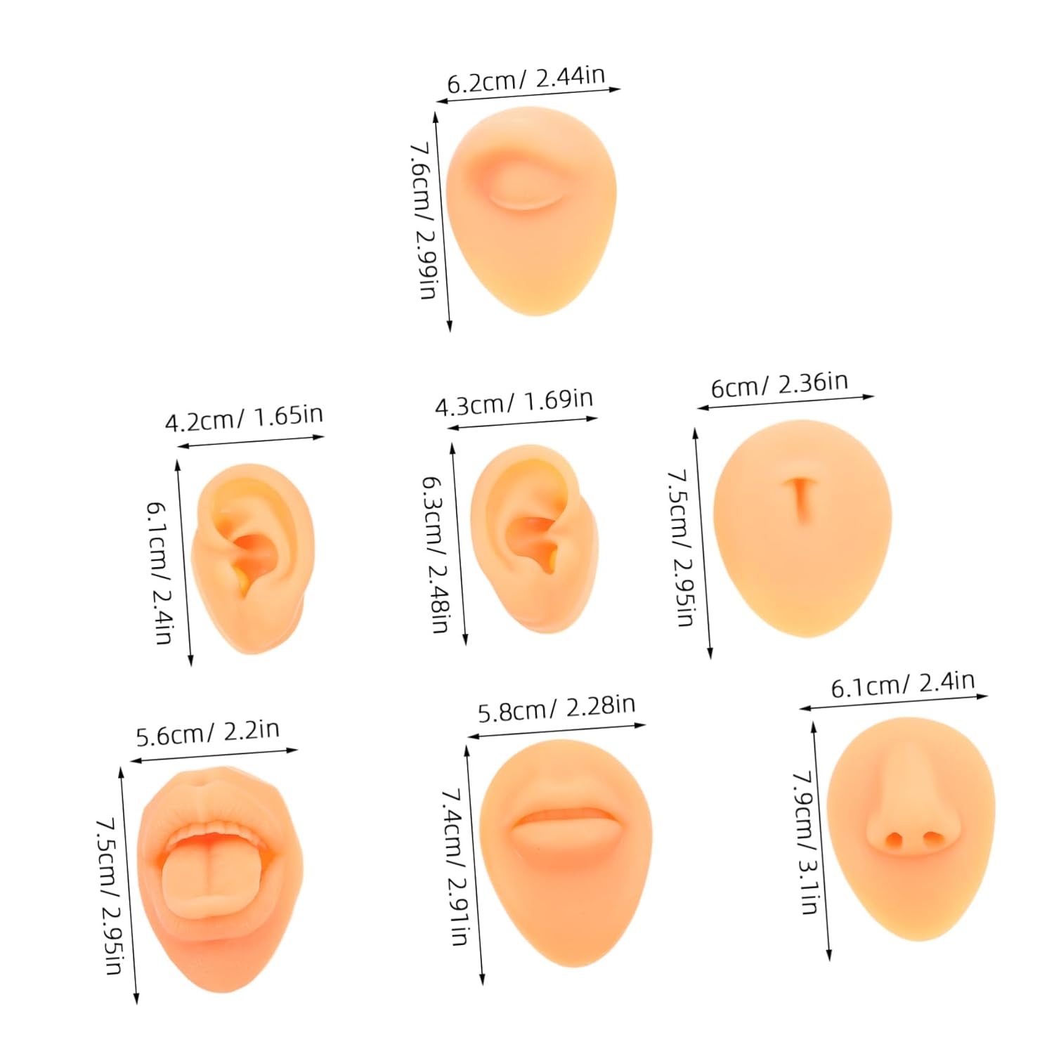 NOLITOY Diverse Silicone Body Parts Models Ears Nose Mouth Tongue Realistic Training Tool for Beauty Salons and Home Use