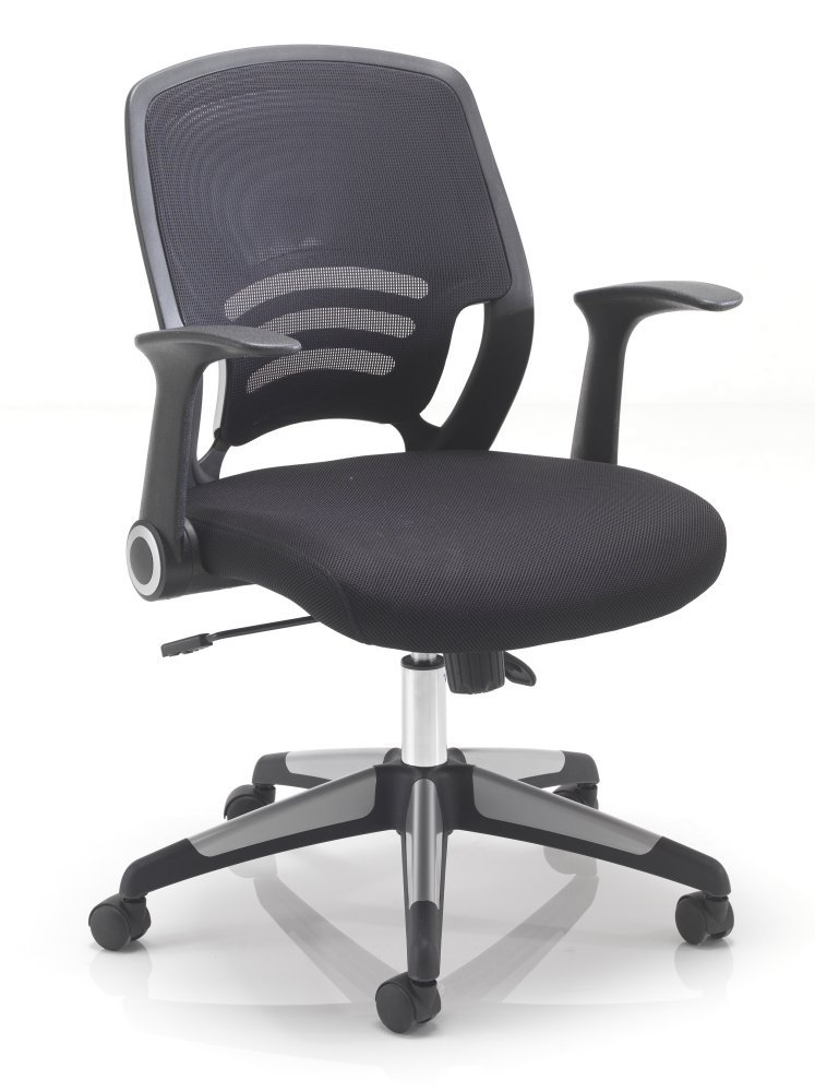 Buy Relax Office Carbon Mesh Back Support, Computer Desk Chair
