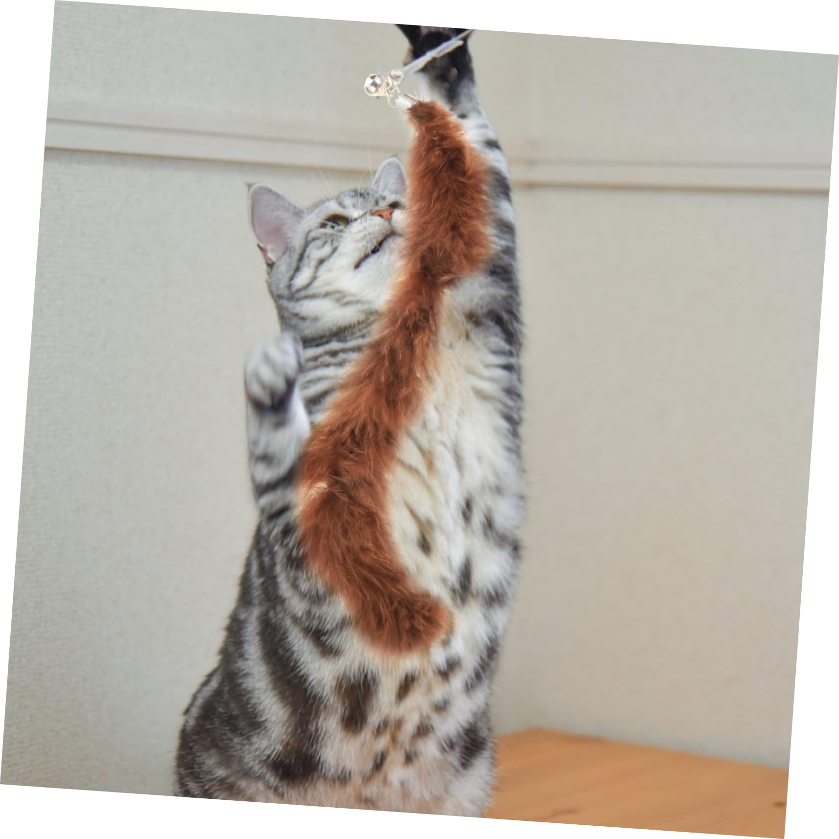 VANZACK 24stücke Teiliges Interaktive Katzenangel Mit Saugnapf Federteaser Und Glöckchen Spielzeug Aktivität Und Für Katzen
