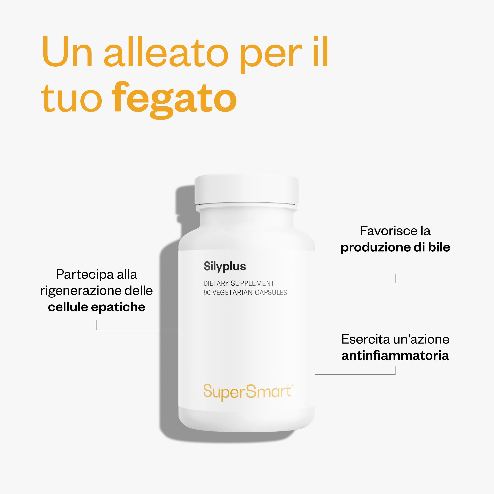 SilyPlus - Silimarina 10x Plus assorbibile dal cardo mariano - Contribuisce alla salute del fegato - Aiuta a la salute dell'apparato digerente - Phytosome® e Siliphos™ brevettati - Vegano - Supersmart