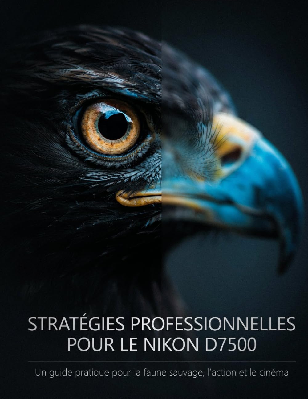 Stratégies professionnelles pour le Nikon D7500: Un guide pratique pour la faune sauvage, l'action et le cinéma