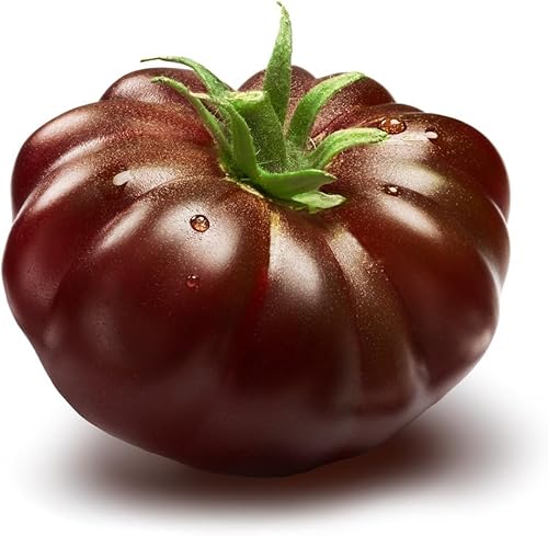 Tomate 'Brandywine Black' 20 Graines