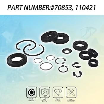 MAY Amazon.com: 70853 Overhaul Rebuild Seal Kit, Seal and