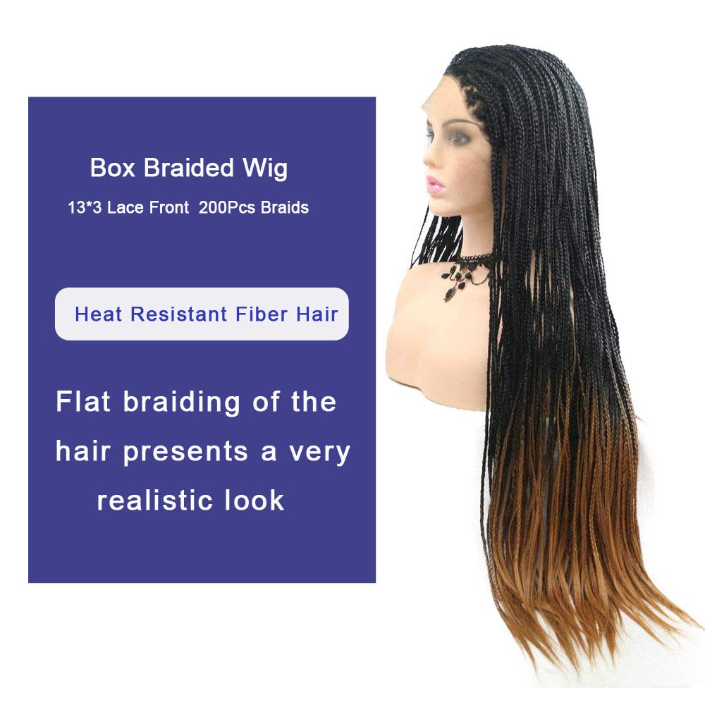 Amazon.com : Micro Braided Box Braids Wig Ombre Brown Braid  display picture 3