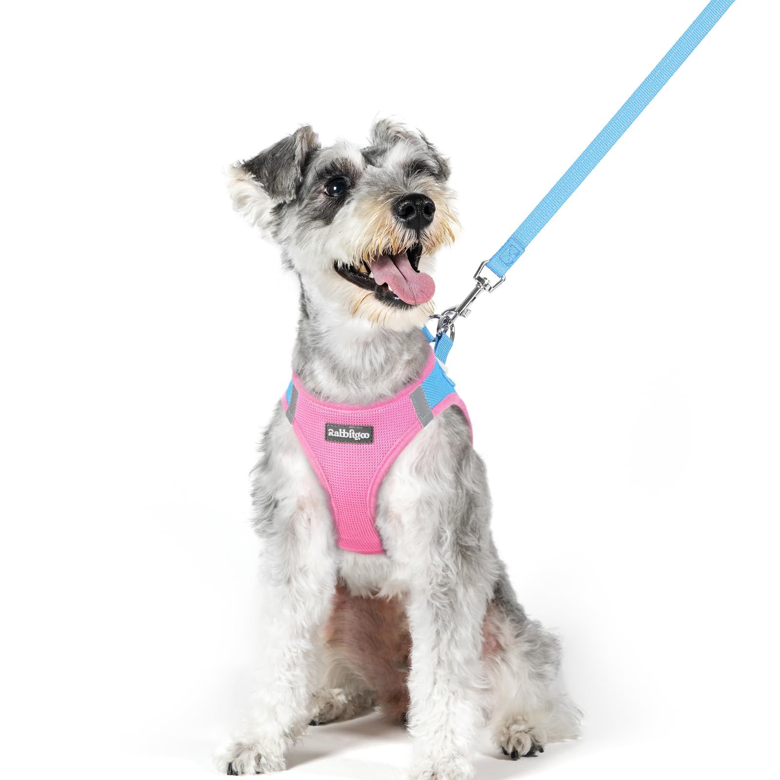 rabbitgoo Dog Harness Medium Sized and Leash Set, Step-in Puppy Pet Vest