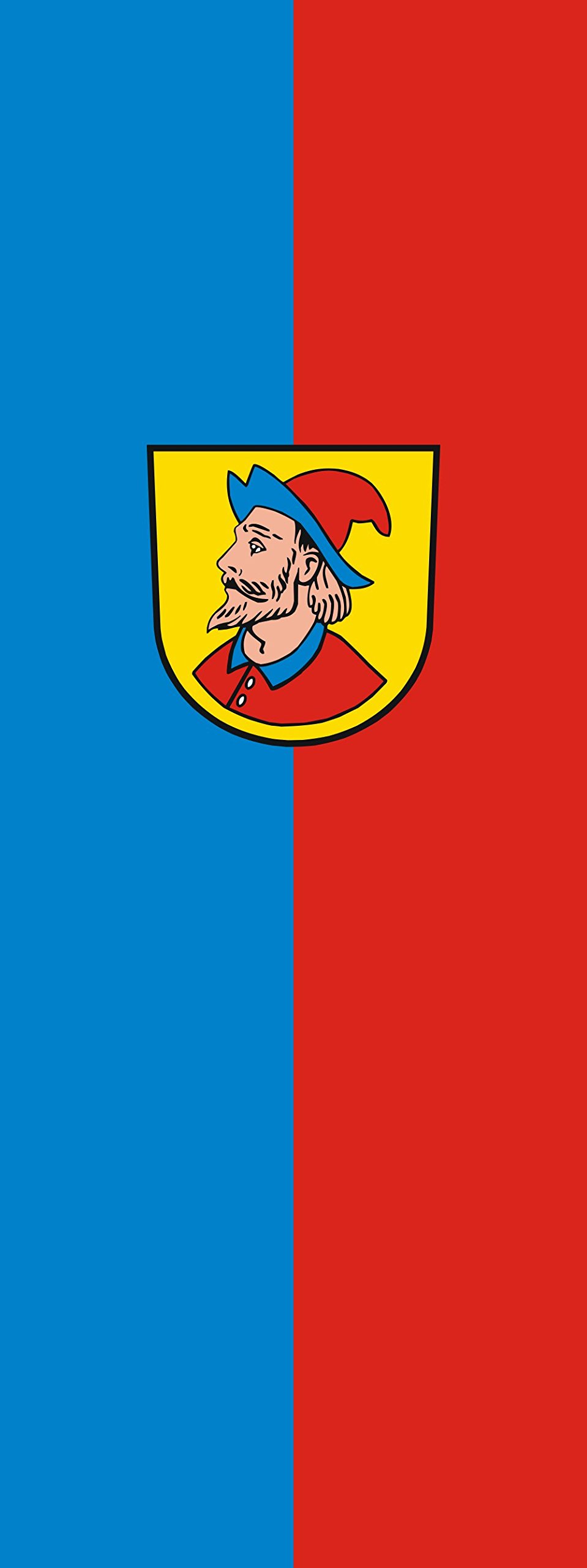 Drapeau Heidenheim an der Brenz pavillon vertical de 400x150cm 6m²