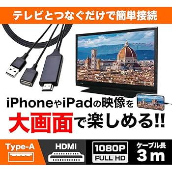 iPad air(第3世代)+ペンシル+HDMI出力ケーブル Amazon | ラスタバナナ iPhone iPad用 ミラーリングケーブル