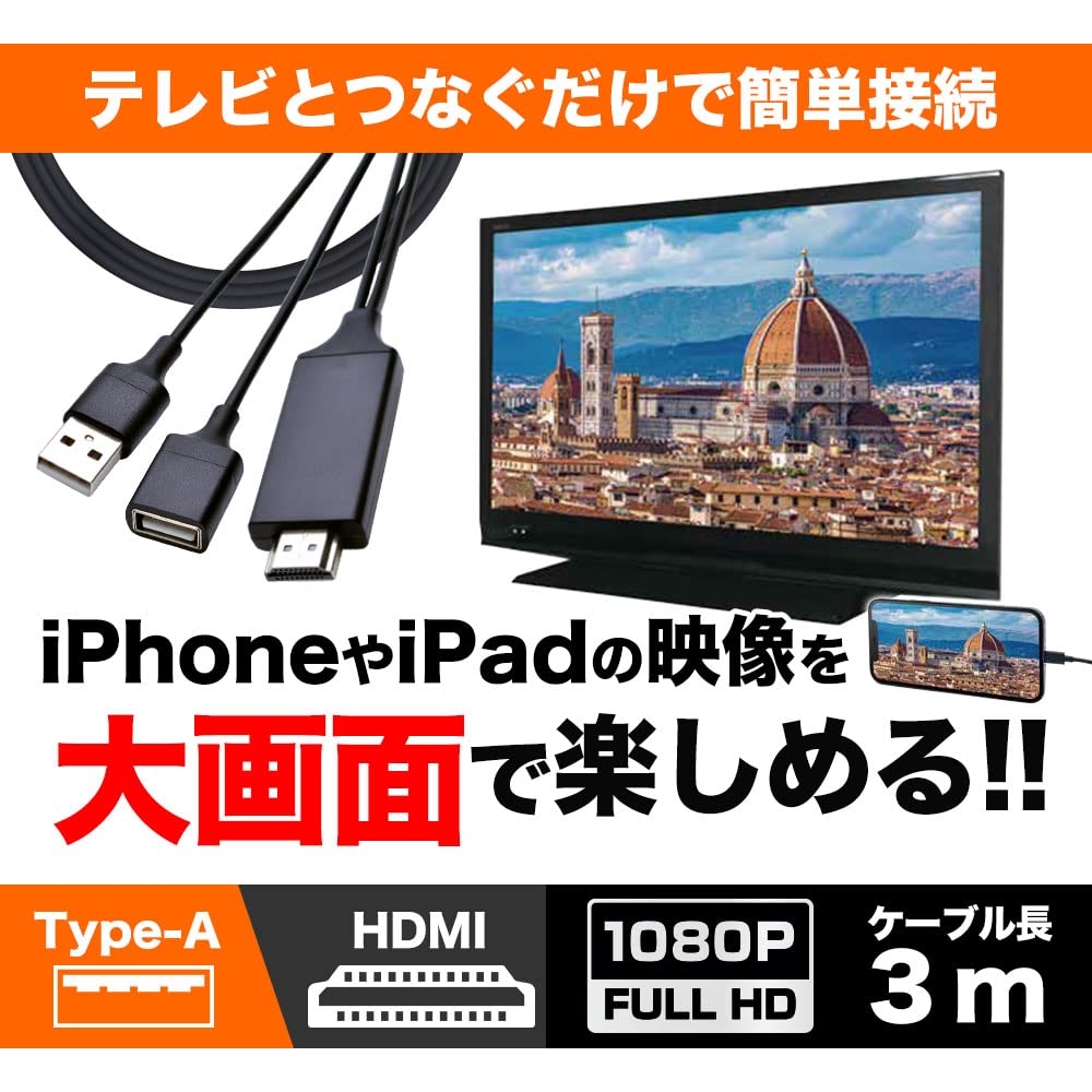 Amazon | ラスタバナナ iPhone iPad用 ミラーリングケーブル Type-A to