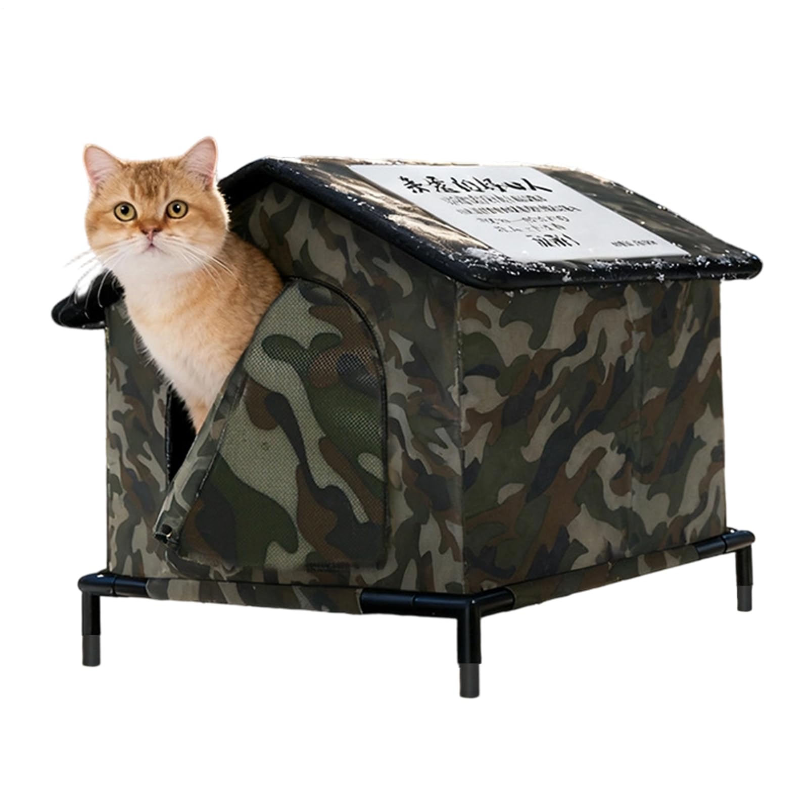 Outdoor Katzenhaus Isoliertes Und Wetterfestes