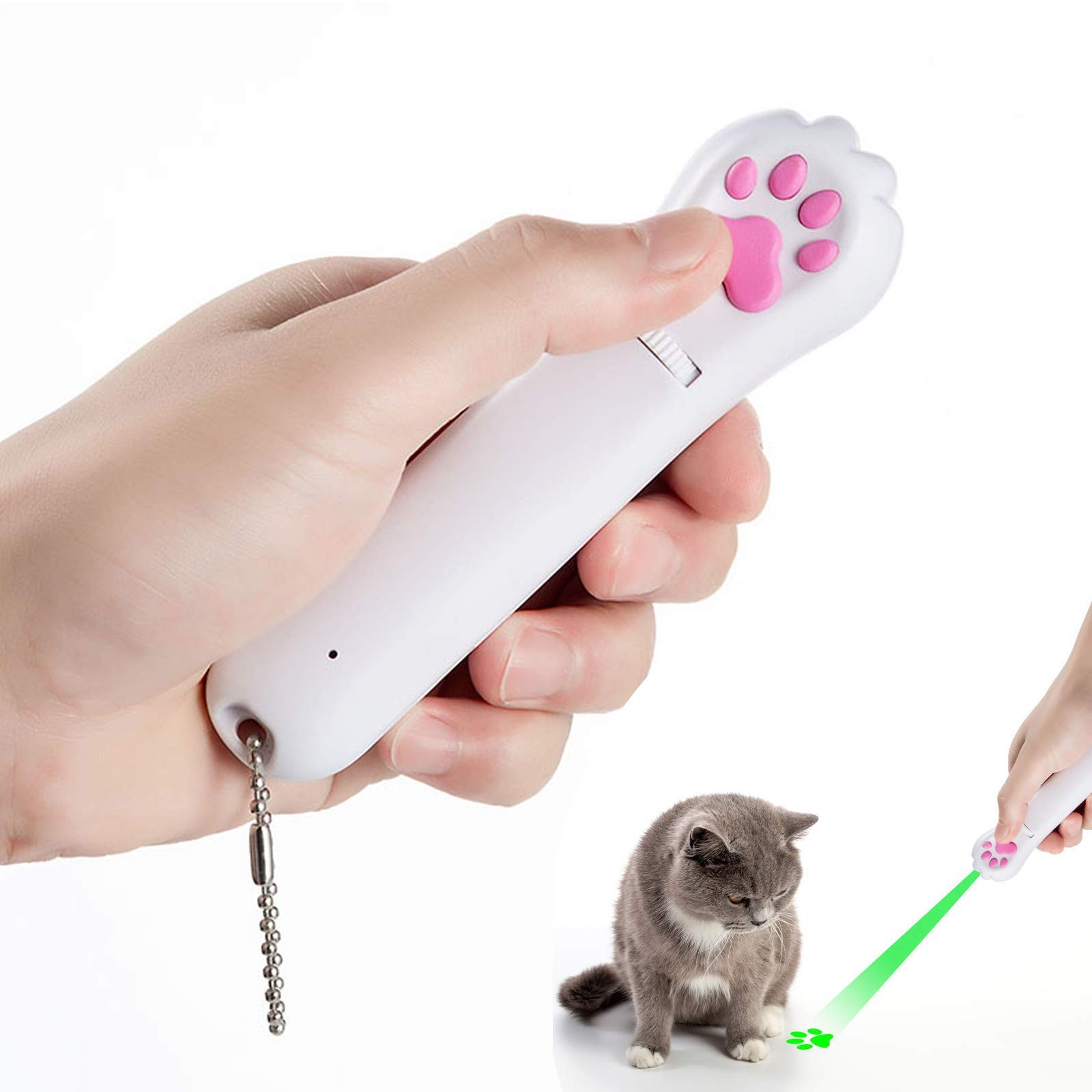 What Can Puppies Catch From Cats