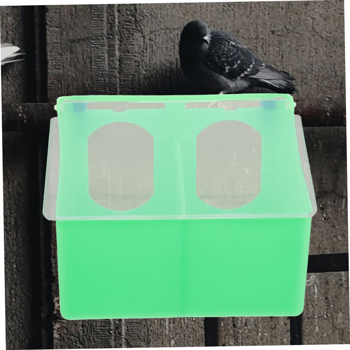 PartyKindom 3pezzi Mangiatoia in Plastica Per Uccelli Distributore Per Gabbia Mangiatoia Per Pappagalli Scomparto Per Mangiatoia Accessori Per Gabbia Per Parrocchetti