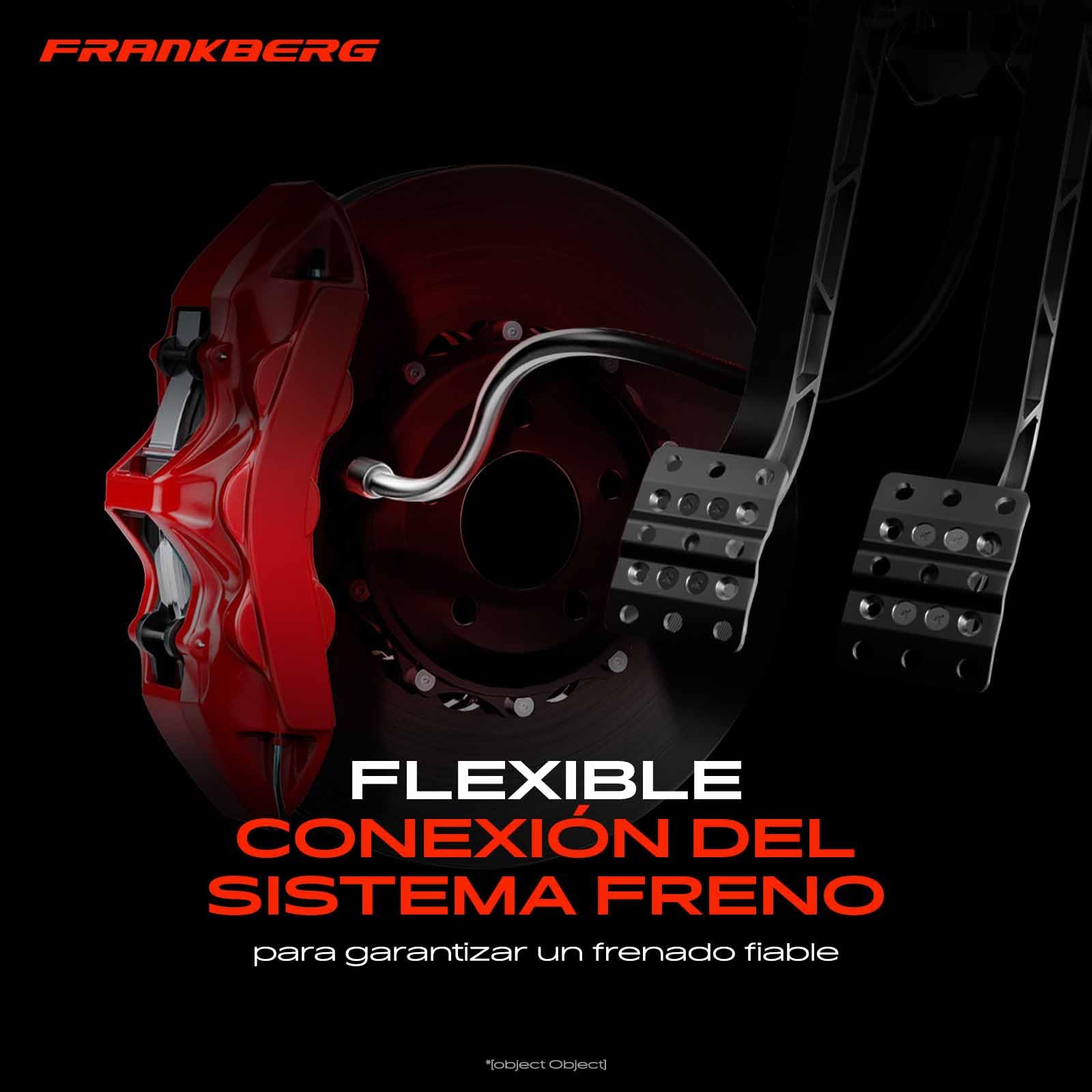 Frankberg 2 mangueras de freno delanteras 18J4571 | Compatible con: Verso R2, A.u.r.i.s E18, C.o.r.o.l.l.a Sedán E15, Prius Plus W4, C.o.r.o.l.l.a Sedán E18 ZRE1