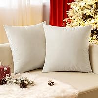 Vista 13 de EMEMA Paquete de 2 fundas de almohada de terciopelo, decorativas, cuadradas, suaves, sólidas, para sofá, dormitorio, silla o automóvil, 18 x 18 Gris