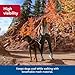 Coastal Pet K9 Explorer Reflective Adjustable Padded Dog Harness - Plush Chest Pad for Comfort - No-Pull Dog Harness for Small and Large Dogs - Berry - 5/8