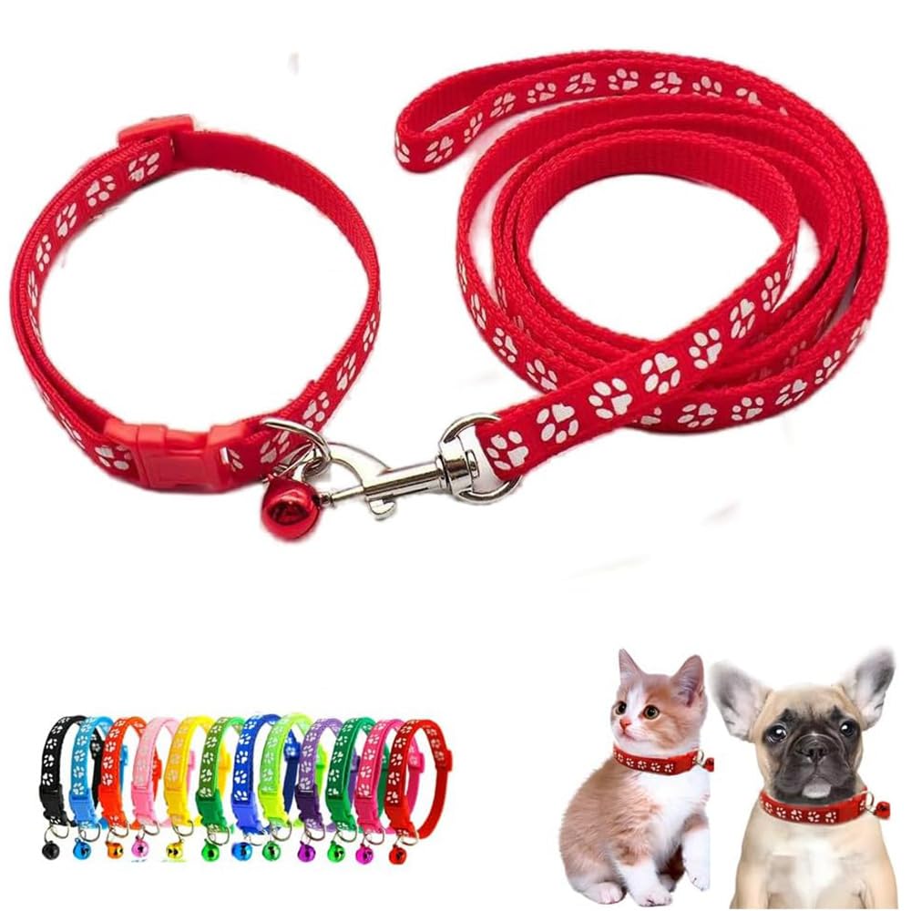 Collier réfléchissant pour petit chien qui s'échappe laisse réglable anti perte chiot et chat