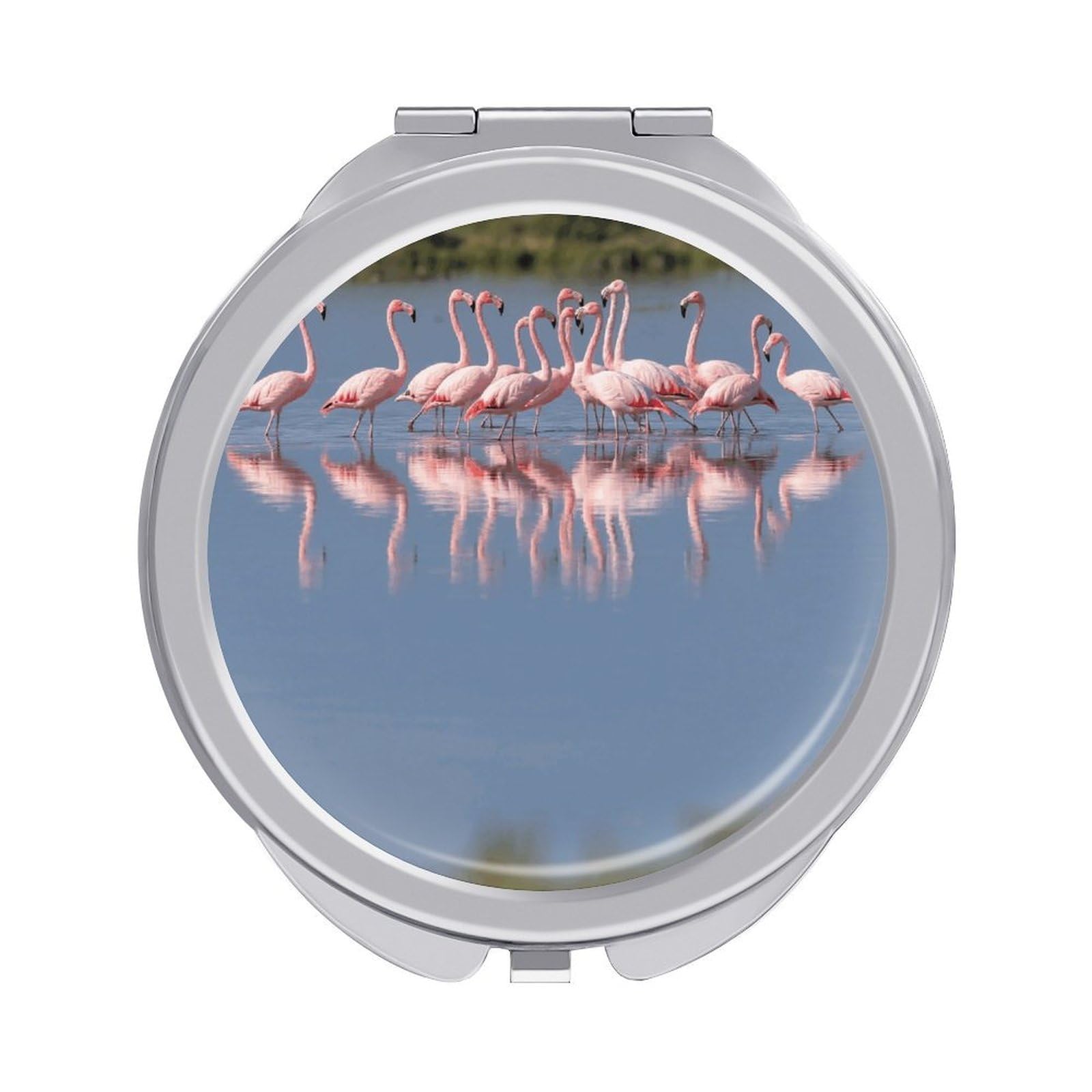 VstaDank A Flock of Flamingos Makeup Mirror Beautiful Compact Makeup Mirror Silver Mirrors Surface Folding Makeups Lightweight Travel Makeups Mirrors for Suitable Handbag and Purses