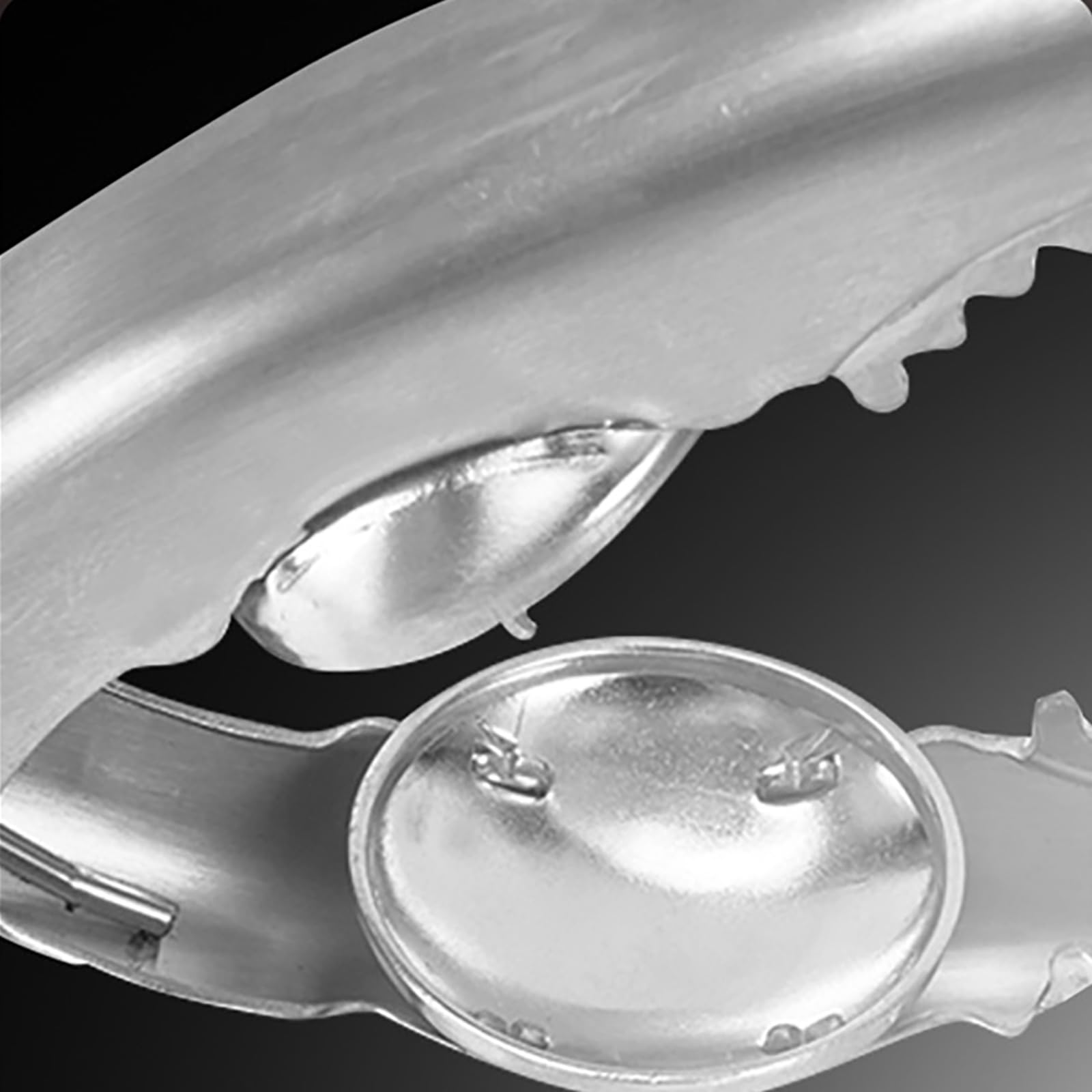 Schiaccianoci professionale per noci ergonomico, funzionamento rapido e facile, in acciaio inox 304