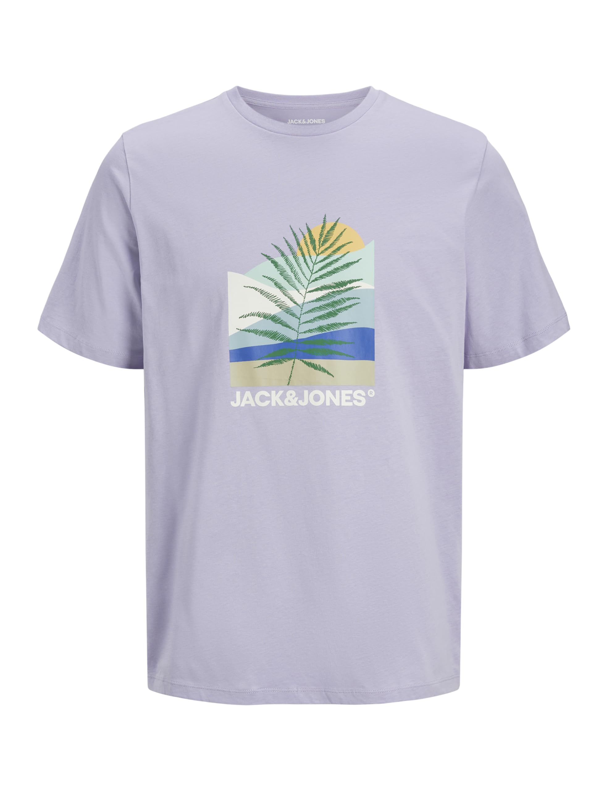 Jack & Jones Jjbarbados Tee SS Crew Neck, Languid Lavender, M