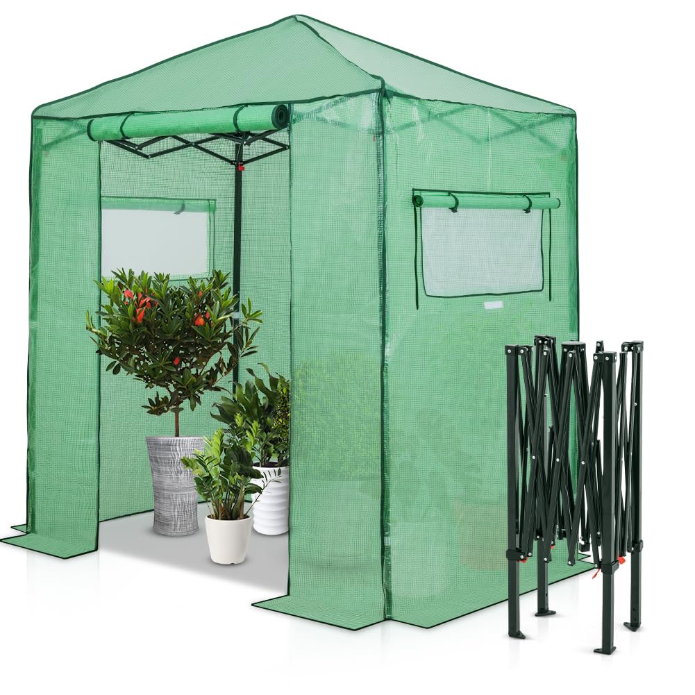 EAGLE PEAK 6x4 Portable Walk in Greenhouse