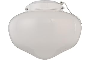 Westinghouse 7785300 LED Schoolhouse Indoor/Outdoor Ceiling Fan Light Kit