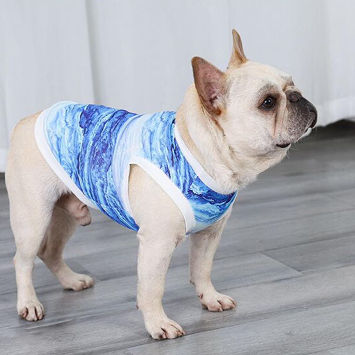 Abaodam Kühlweste für Kleine Hunde Größe S Atmungsaktiv Wasseraktivierte Kühlung Hundeweste Himmelblau für Sommer