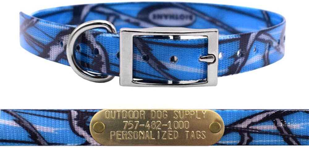 Outdoor Dog Supply 3/4" American Flag D-Ring Dog Collar with Custom 3/4" Brass Nameplate | Durable, Odor-Resistant, Adjustable for Small & Medium Dogs, USA-Made (18")
