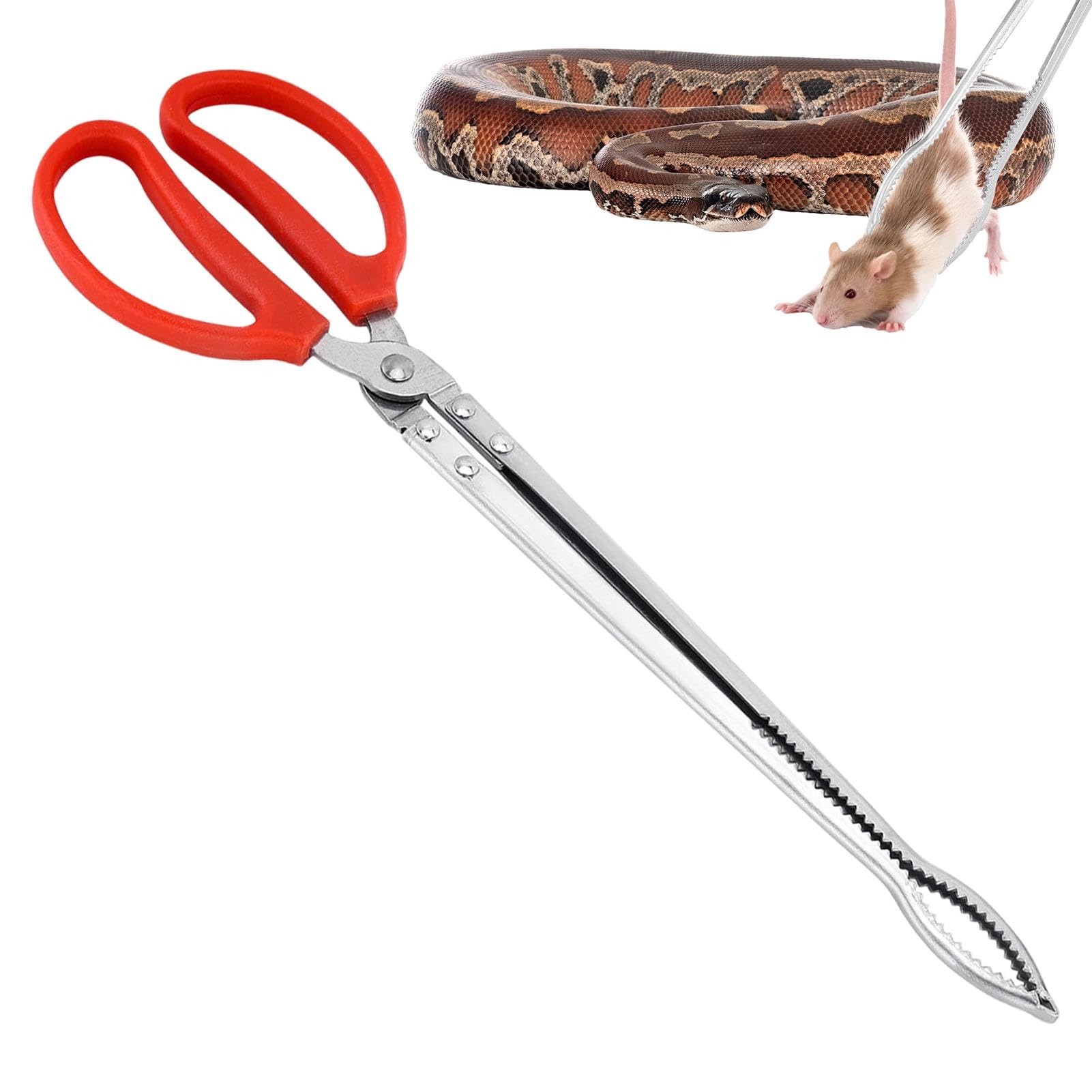 爬虫類用給餌トング ステンレス製トング 2本セット Amazon | 爬虫類給餌トング、ステンレス鋼の爬虫類給餌ツール