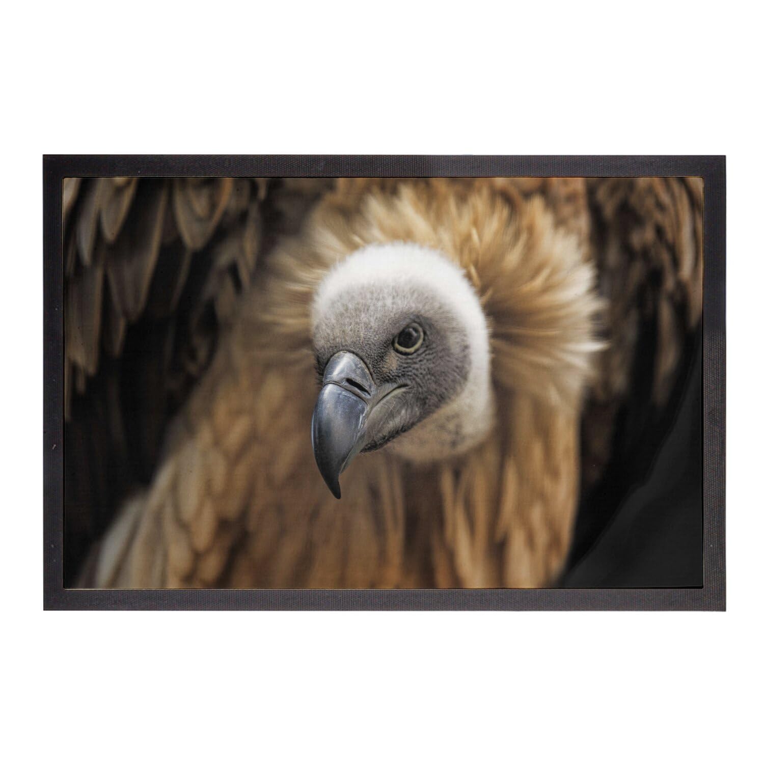 Paillasson vautour fauve griffon 75x50cm tapis d entrée oiseau sauvage