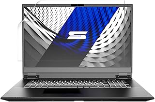 celicious Silk Mild Anti-Glare Screen Protector Film Compatible with Schenker Compact 17 SCO17E20 [Pack of 2]