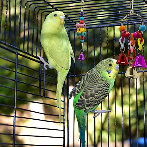 Dsaren Uccello Giocattoli di Altalena, Parrot Cage...