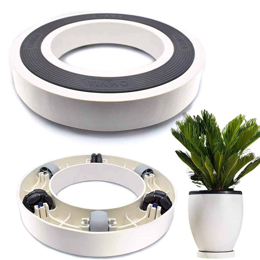 Buy Bvlgari Omnia Plant Caddy with