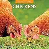 2024 Chickens Wall Calendar by Red Robin, 12 x 12
