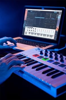 ARTURIA MINILAB mk2 MIDIキーボード Arturia: MiniLab MKII 25 Key Controller - Orange Limited