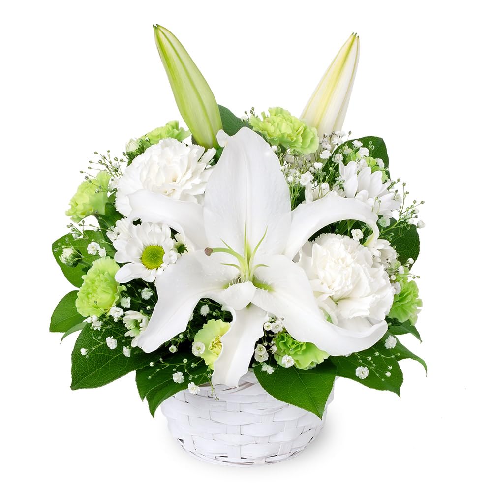 Amazon｜お供え・お悔やみの献花 花キューピット 仏花 供花 法要 法事