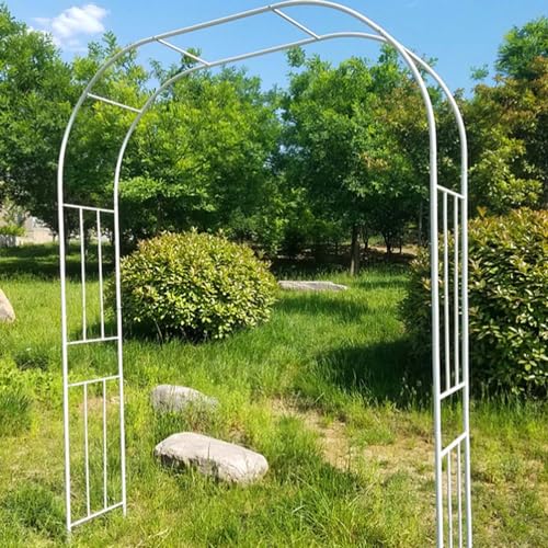 Arche de jardin pour plantes grimpantes : tuteur stable contre l'affaissement des tiges - 2