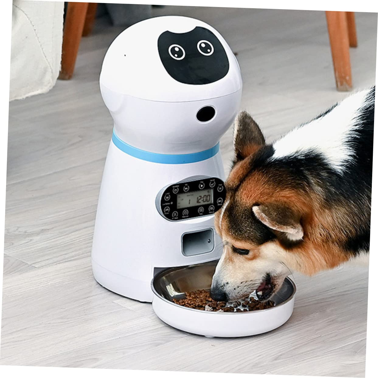 DOITOOL Alimentador Automático para Mascotas con Temporizador Digital Robot Inteligente con Grabación De Voz para Gatos y Perros Dispensador De Comida Seguro con Cuenco De Inoxidable