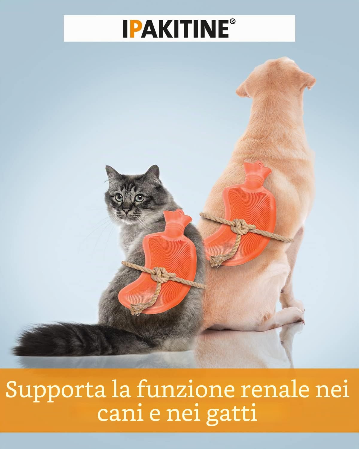 Ipakitine, Polvere per aiutare il funzionamento renale, per ridurre il fosfato, barattolo da 180 g