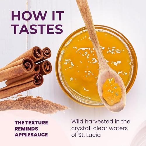 Miniatura 63 de Healthy Herbs Gel de musgo marino (piña de mango dulce) elaborado en forma silvestre de oro jamaicano de Santa Lucía Seamoss Superalimento