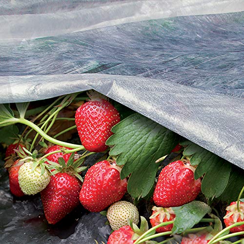TENAX Ortoclima Wachstumsvlies 1,60x5 m Weiß, leichtes Frost- und Schutzvlies für Pflanzen und Kulturen, aus Vliesstoff 17 g/m², Schützt Pflanzen, Blumen und Gemüse vor Kälte und Wind