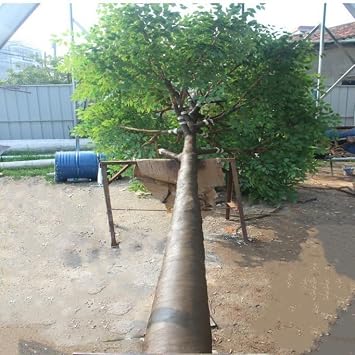 Large Fake Banyan Tree Artificial Banyan Tree Interior Outdoor Decoration Tree Hotel Shopping Mall Floor Living Room Green Plant Landscaping 7mx6m