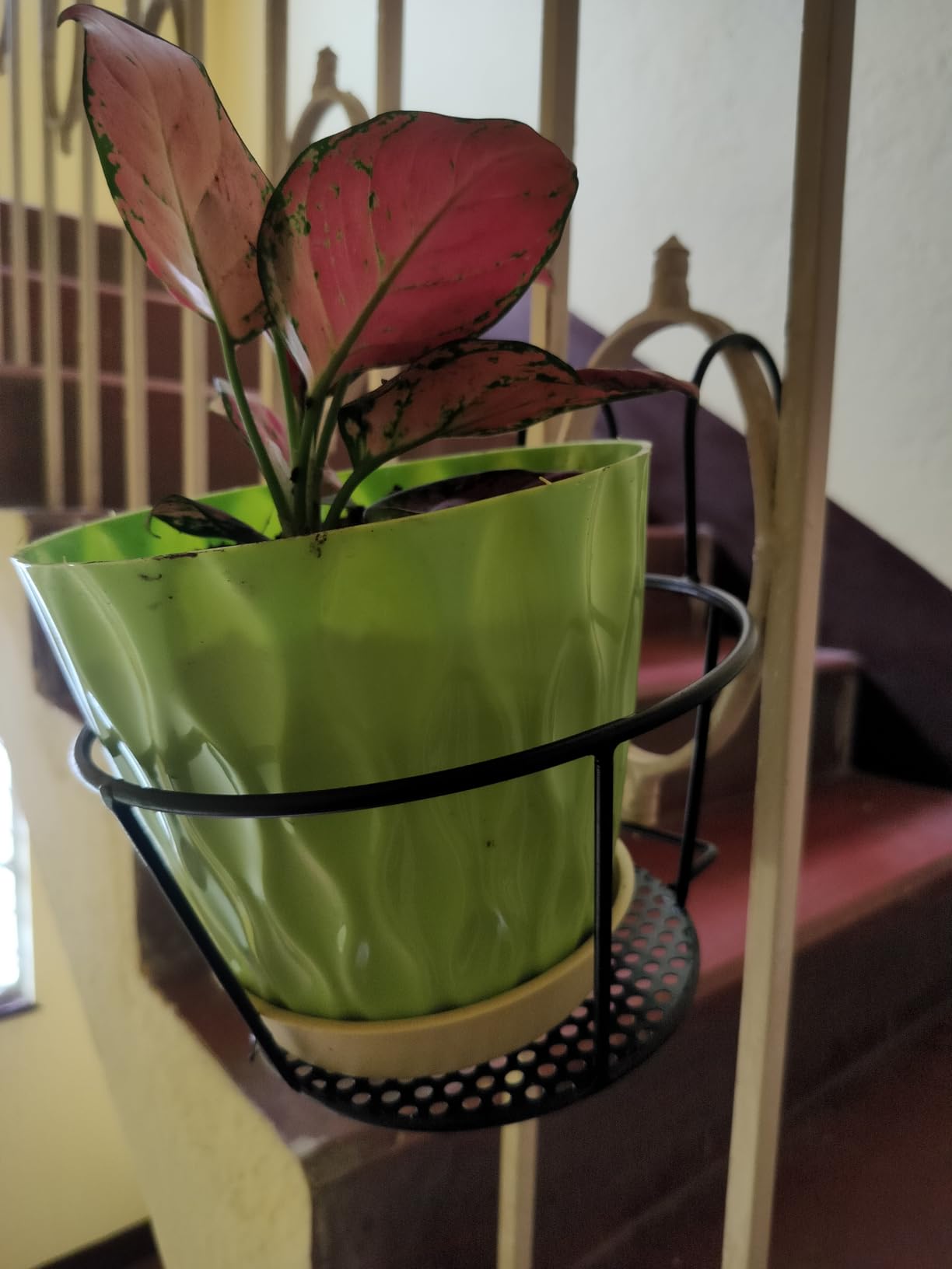 Customer Image