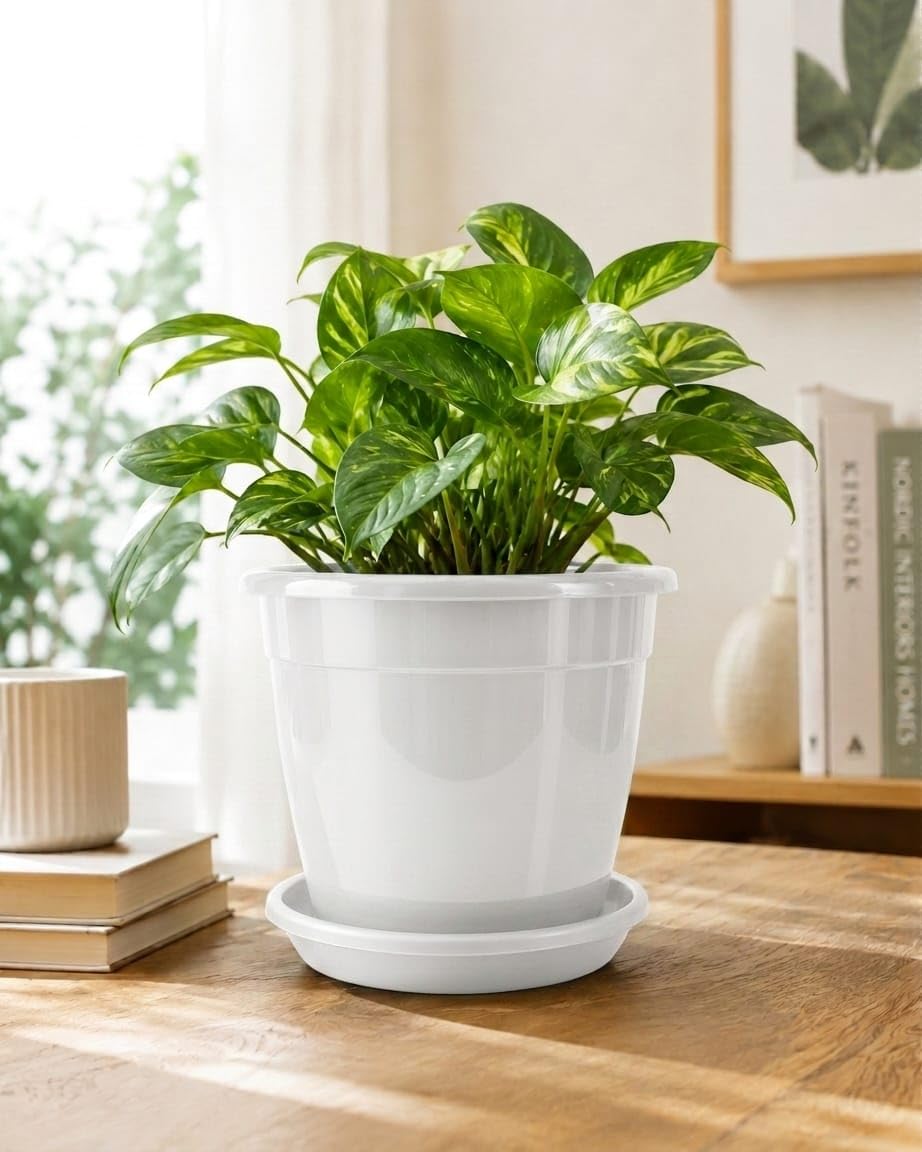 6 Inch Plastic Planter Pots with Plate (Set of 2) | Premium Heavy Duty Garden Pots for Indoor & Outdoor Plants | Fresh Quality Flower Pots | 6 Vibrant Colors | Durable Planters | (White)-image-49