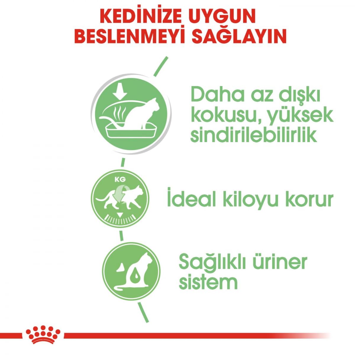 Royal Canin Digest Sensitive Wet Food | 12 x 85g | Alimento completo per gatti adulti | Può aiutare a ridurre l'odore delle feci | Bocconi in salsa