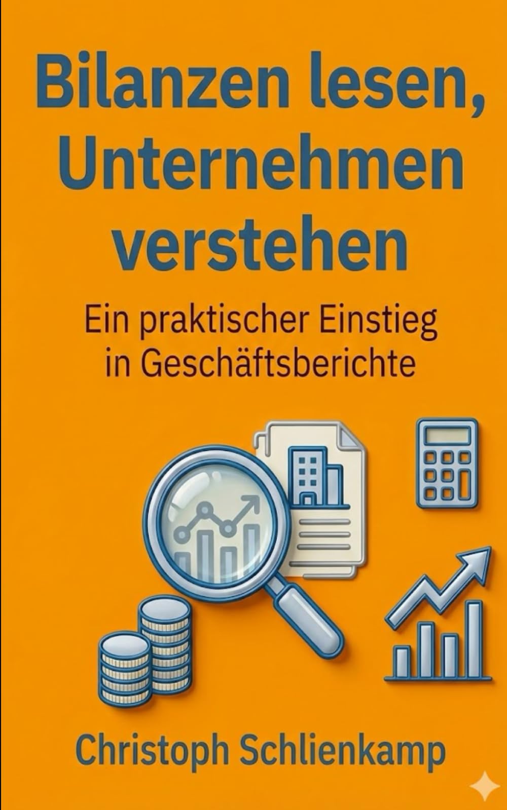 Bilanzen lesen, Unternehmen verstehen: Dein praktischer Einstieg in Geschäftsberichte